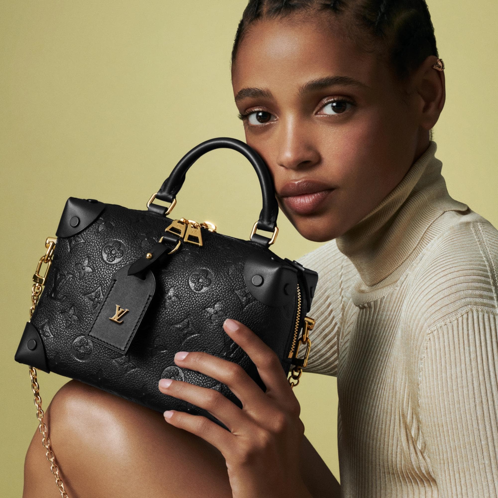 Louis Vuitton Petite Malle Souple Price Listing | SEMA Data Co-op