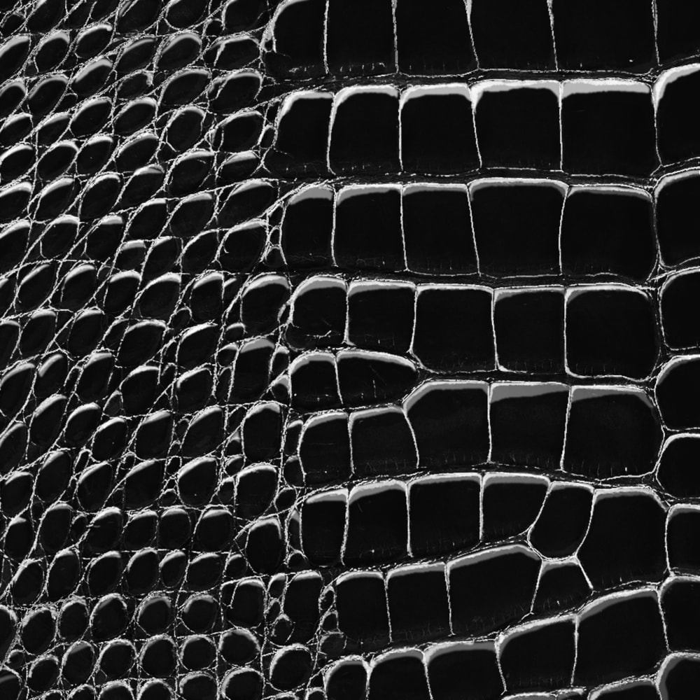 กระเป๋ารุ่น Capucines BB หนังจระเข้ Brillant in ผู้หญิง