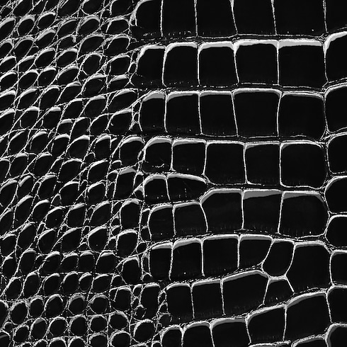 กระเป๋ารุ่น Capucines BB หนังจระเข้ Brillant in ผู้หญิง's กระเป๋าถือ กระเป๋ารุ่น Capucines collections by Louis Vuitton (การย่อ/ขยายผลิตภัณฑ์)