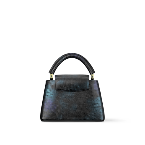 Capucines Mini Icone Bandouliere Exo back view