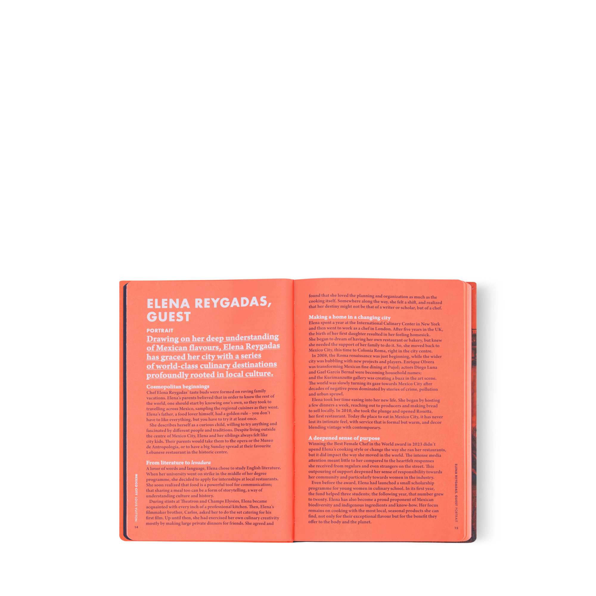 หนังสือ City Guide เม็กซิโก  in ทรังก์ การเดินทาง และ บ้าน