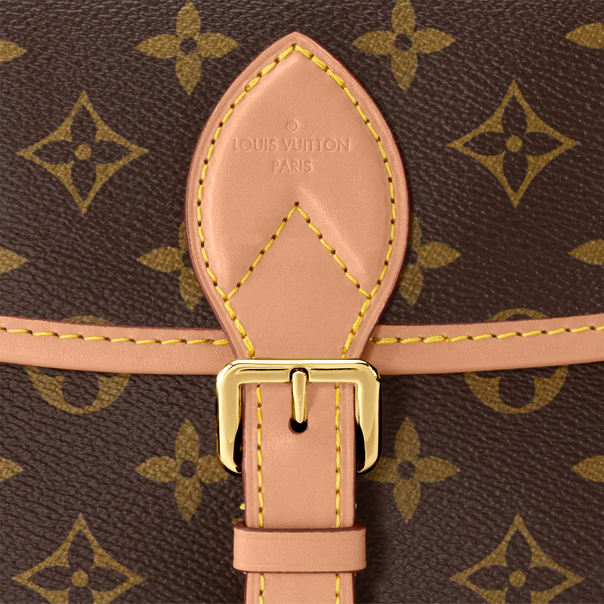 กระเป๋ารุ่น Diane Monogram in ผู้หญิง