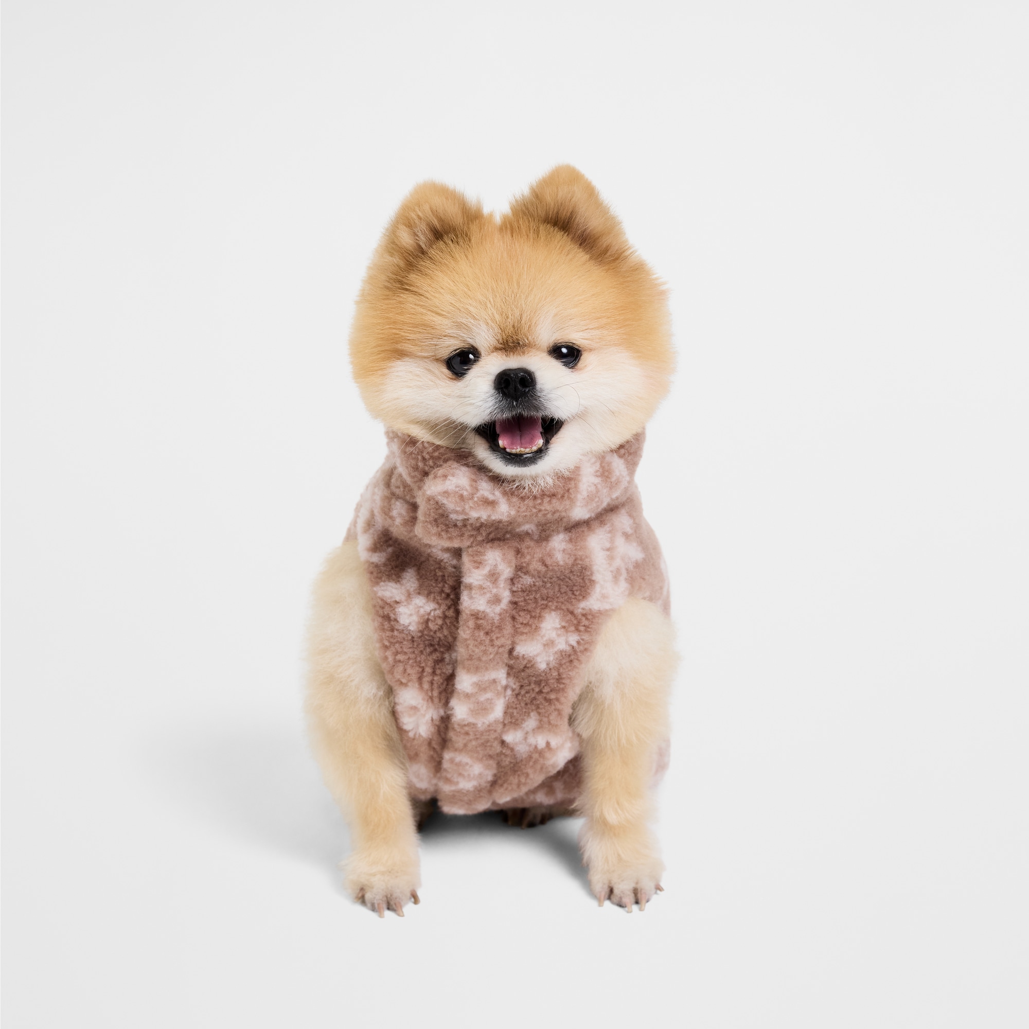 เสื้อแจ็คเก็ตผ้าฟลีซสำหรับสุนัขรุ่น XS . in ทรังก์ การเดินทาง และ บ้าน