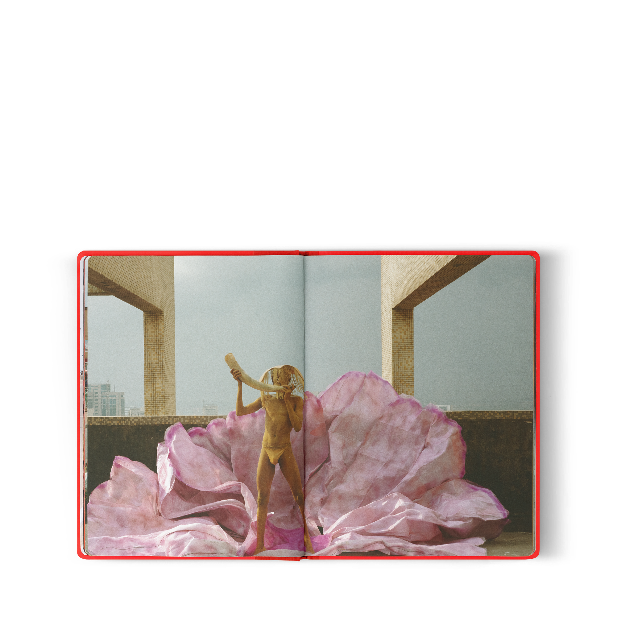 หนังสือ Fashion Eye ลากอส  in ทรังก์ การเดินทาง และ บ้าน