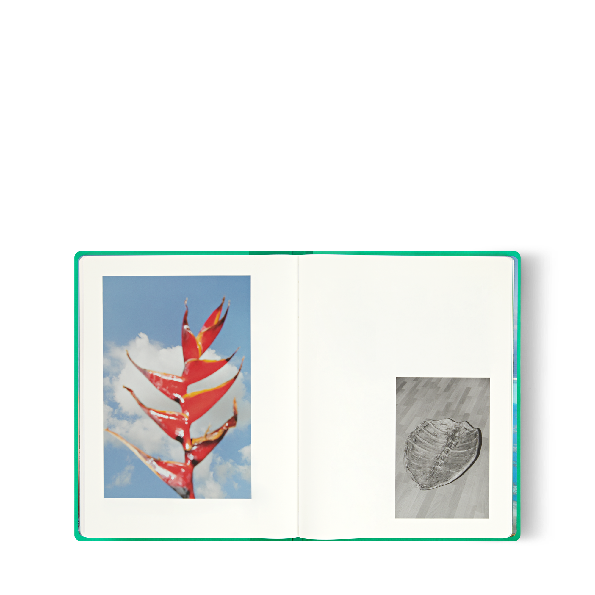 หนังสือ Fashion Eye ตาฮิติ โดย Jonathan LLense  in ทรังก์ การเดินทาง และ บ้าน