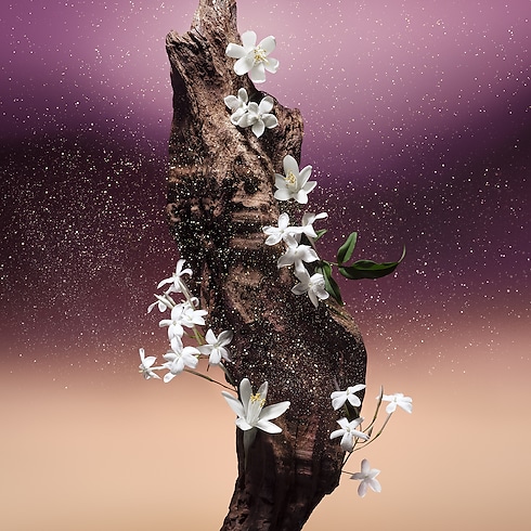 น้ำหอม FLEUR DU DÉSERT in น้ำหอมและความงาม's คอลเล็คชั่น น้ำหอมสำหรับผู้ชาย collections by Louis Vuitton (การย่อ/ขยายผลิตภัณฑ์)