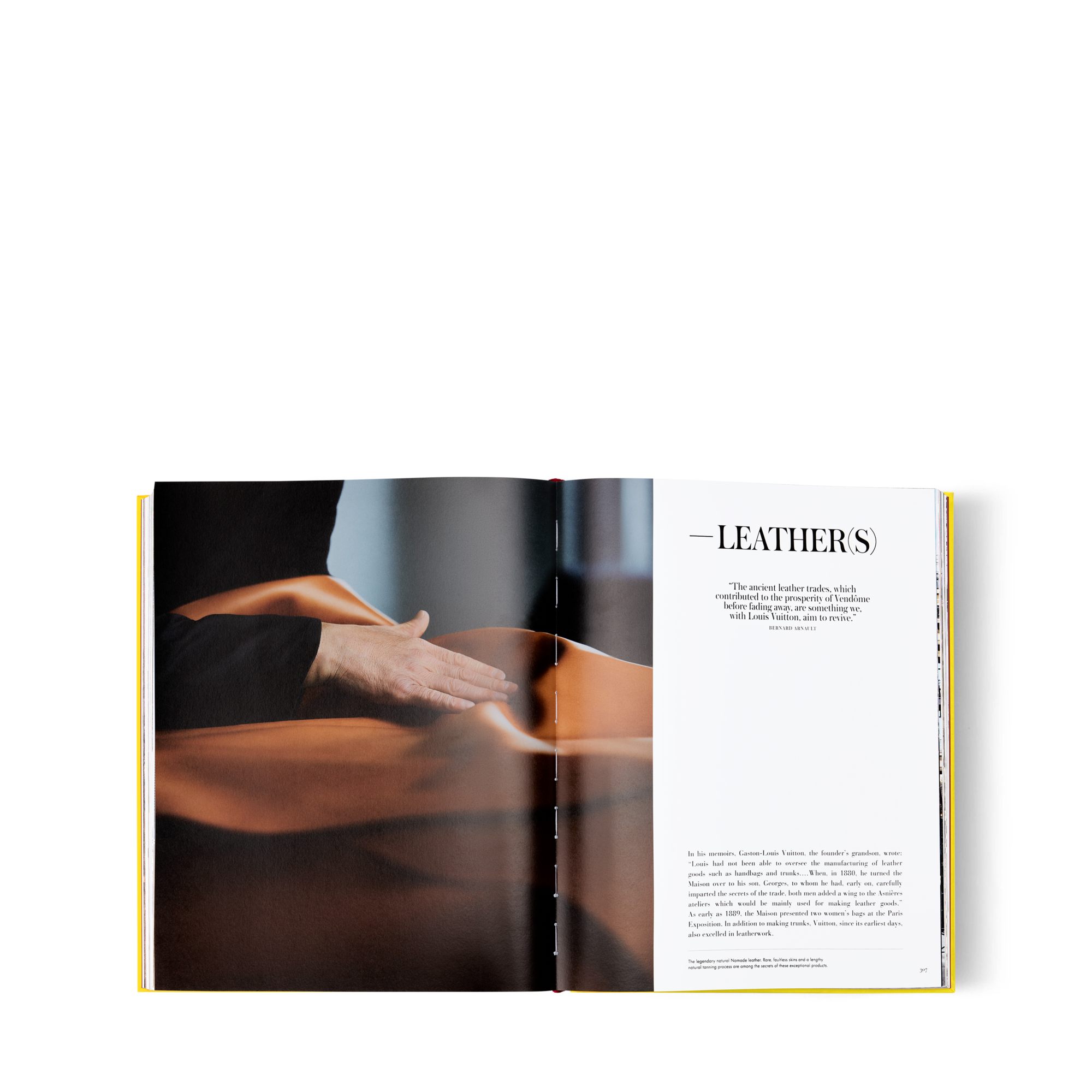 From Louis To Vuitton  in ทรังก์ การเดินทาง และ บ้าน