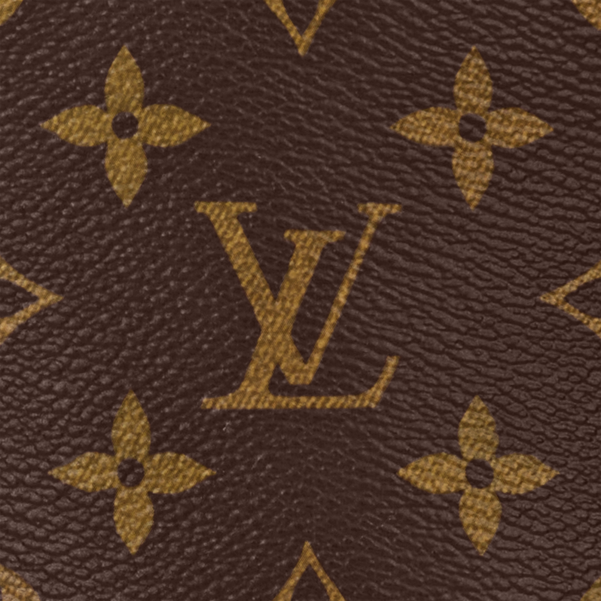 ถุงกอล์ฟ Monogram แคนวาส in ผู้ชาย