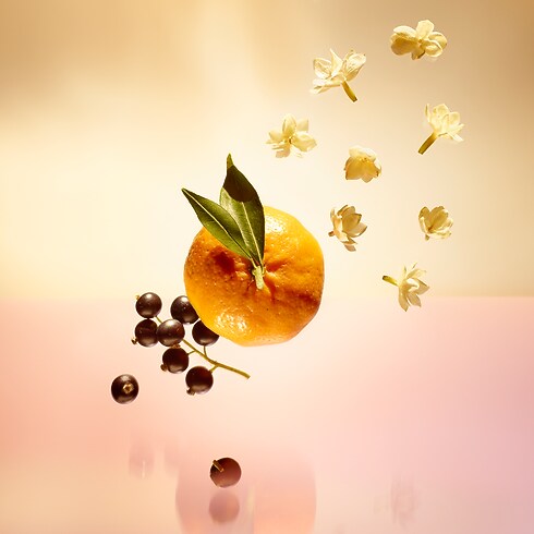 น้ำหอม LE JOUR SE LÈVE in น้ำหอมและความงาม's ของขวัญน้ำหอม } collections by Louis Vuitton (การย่อ/ขยายผลิตภัณฑ์)