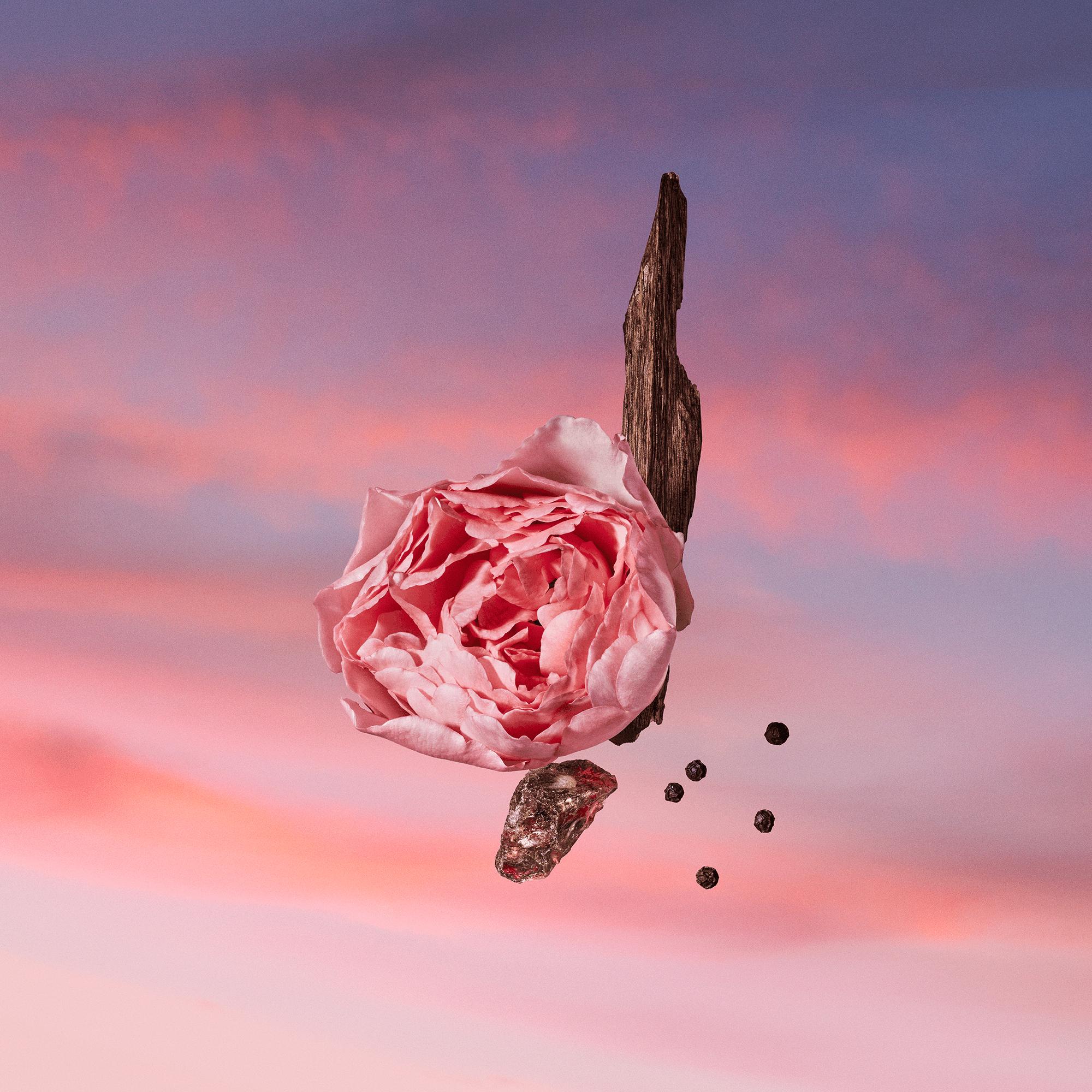 น้ำหอม Les Sables Roses  in น้ำหอมและความงาม