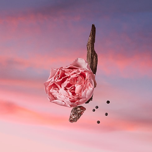 น้ำหอม Les Sables Roses in น้ำหอมและความงาม's คอลเลกชัน น้ำหอมสำหรับผู้ชาย collections by Louis Vuitton (การย่อ/ขยายผลิตภัณฑ์)