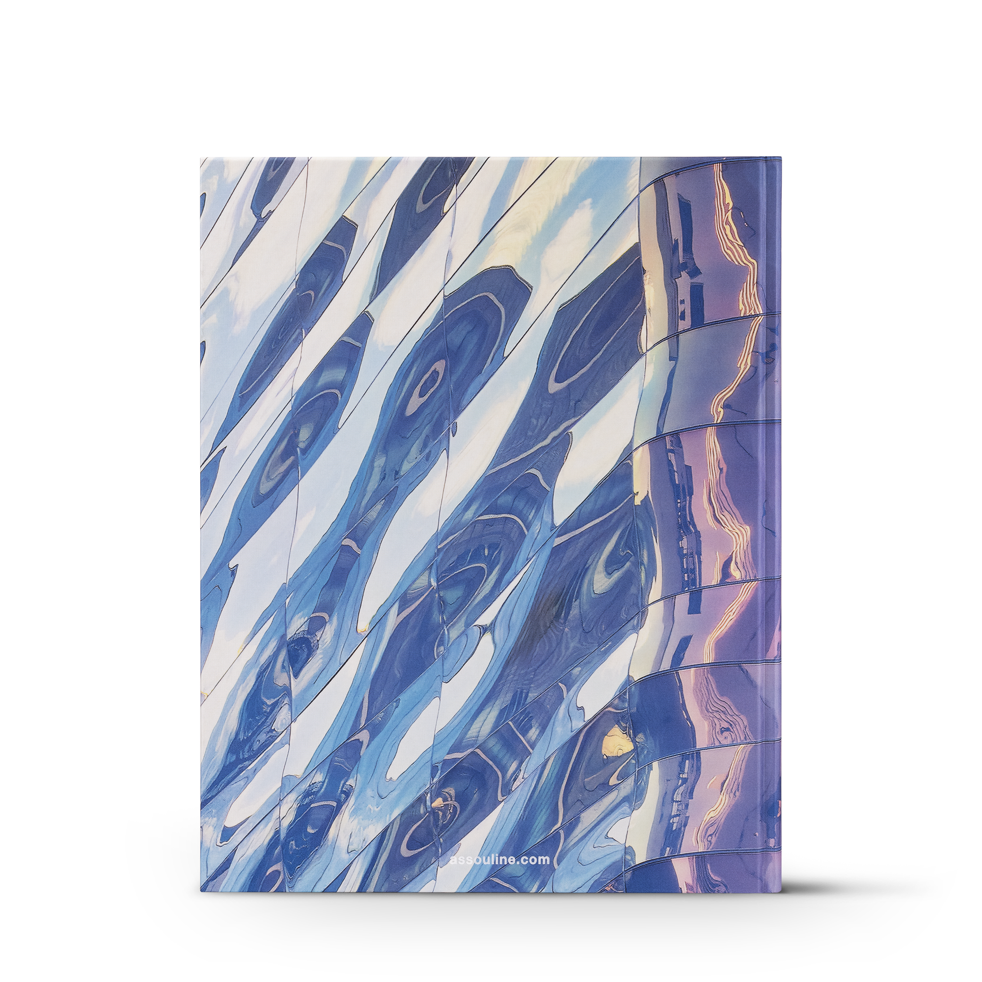 หนังสือ Louis Vuitton Skin: Architecture of Luxury โตเกียว  in ทรังก์ การเดินทาง และ บ้าน