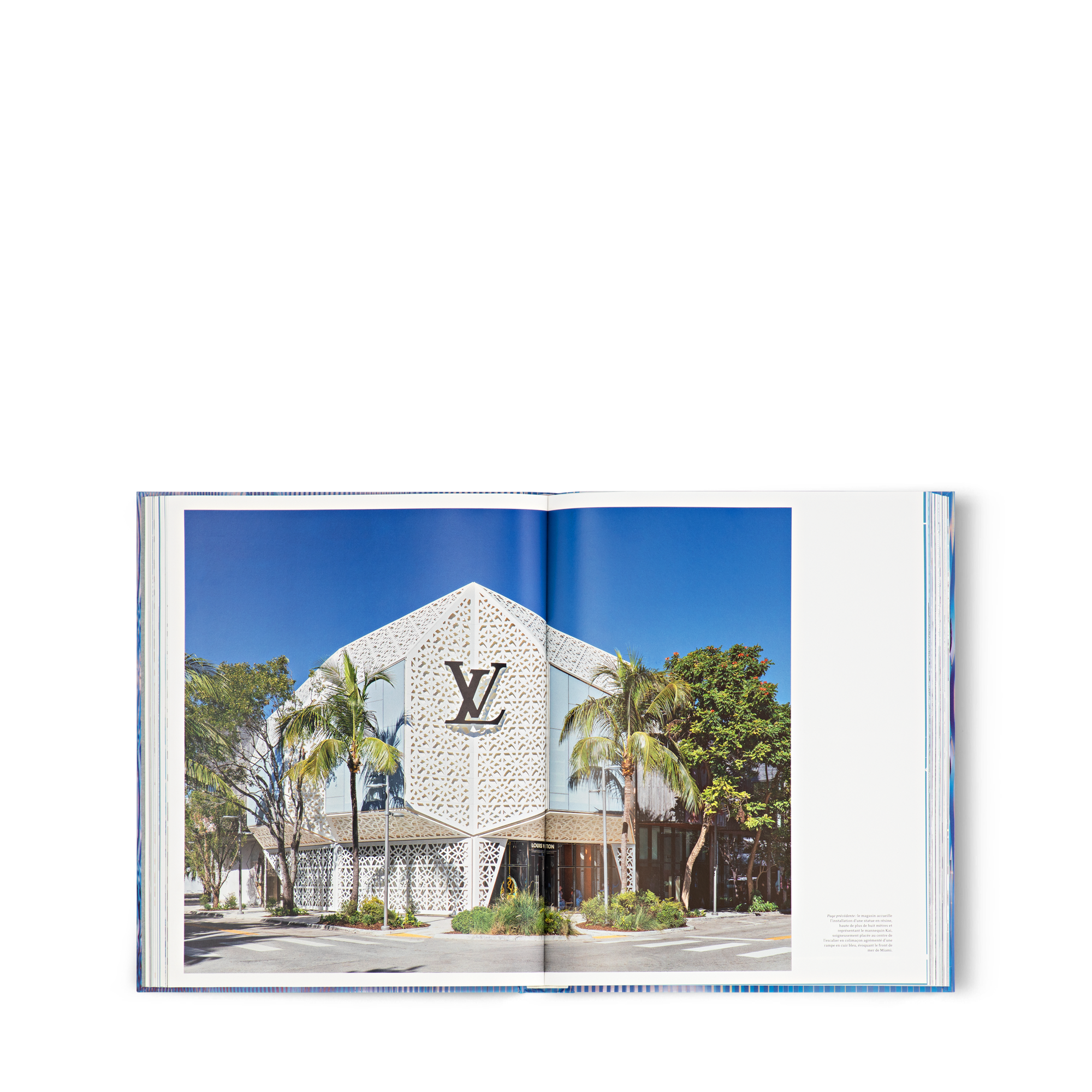 หนังสือ Louis Vuitton Skin: Architecture of Luxury โตเกียว  in ทรังก์ การเดินทาง และ บ้าน