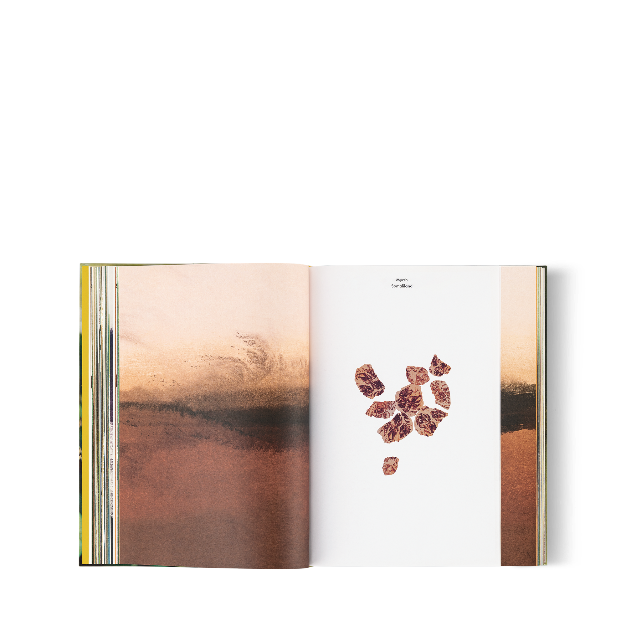 หนังสือ Louis Vuitton: A Perfume Atlas เวอร์ชันภาษาอังกฤษ  in ทรังก์ การเดินทาง และ บ้าน