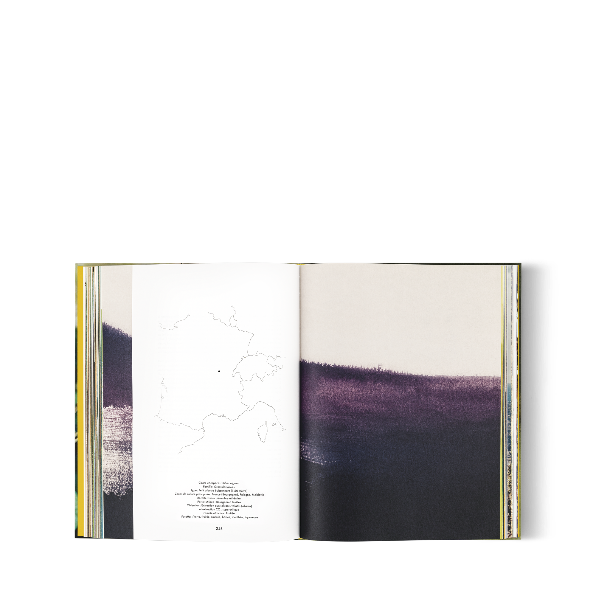หนังสือ Louis Vuitton: A Perfume Atlas เวอร์ชันภาษาฝรั่งเศส  in ทรังก์ การเดินทาง และ บ้าน