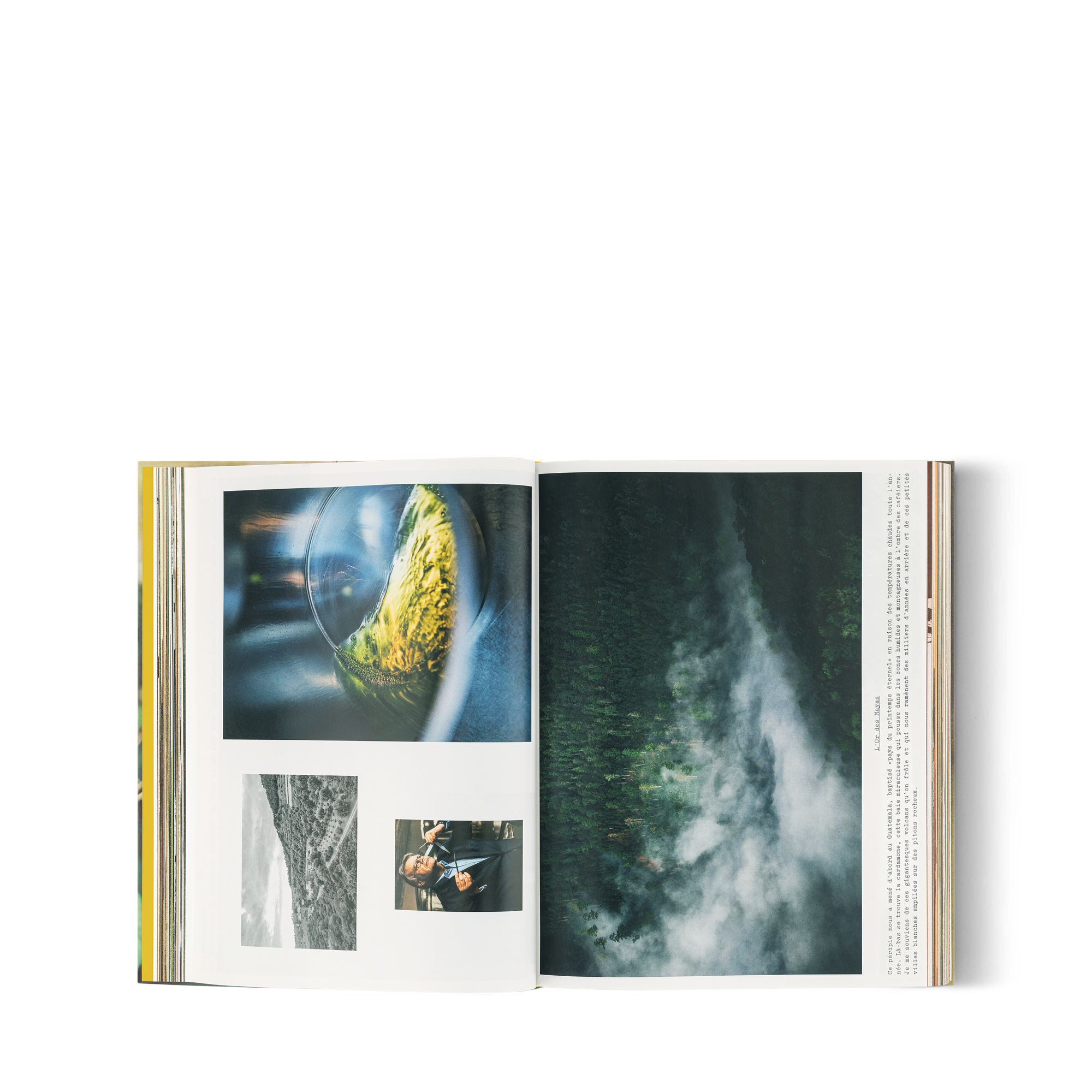 หนังสือ Louis Vuitton: A Perfume Atlas เวอร์ชันภาษาฝรั่งเศส  in ทรังก์ การเดินทาง และ บ้าน