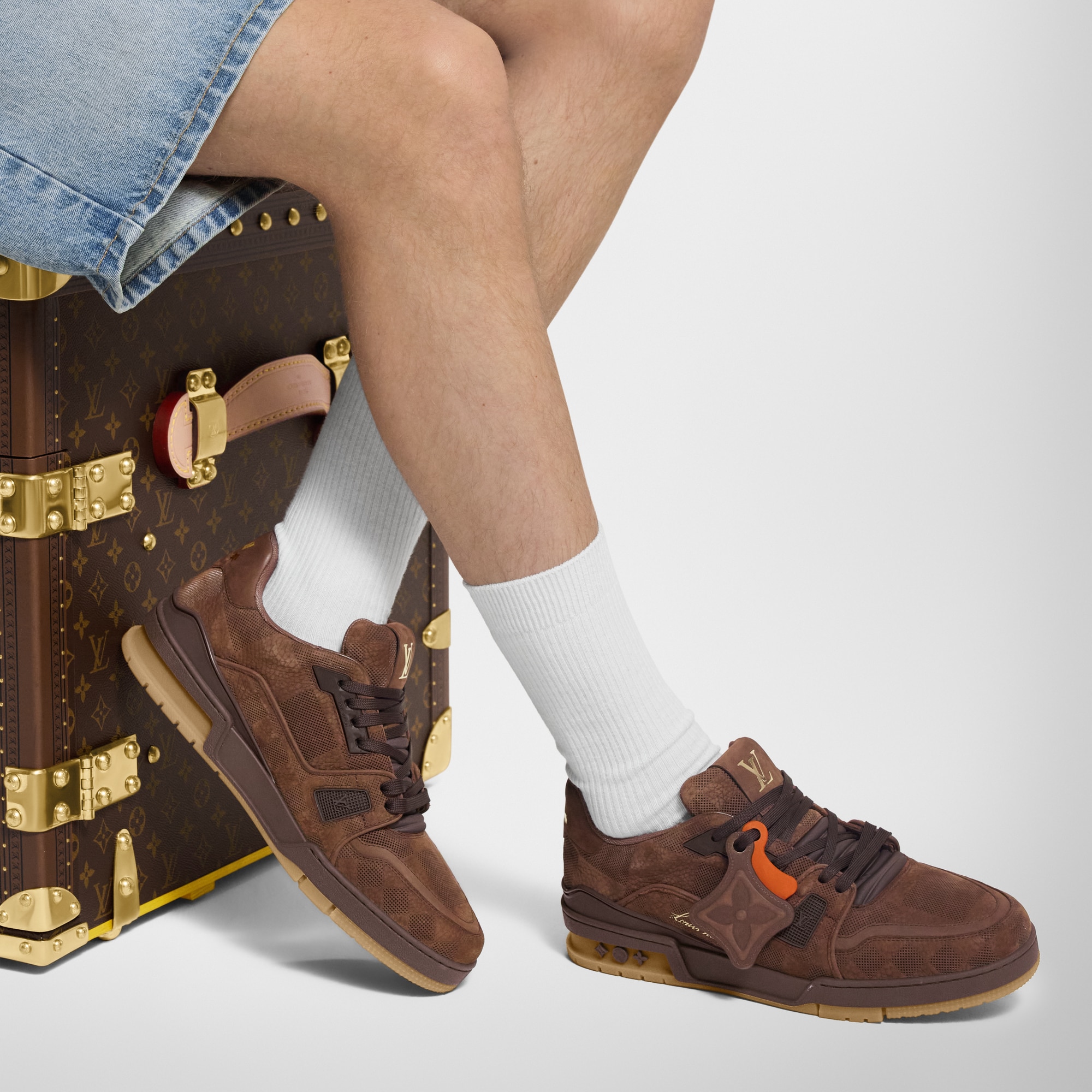 รองเท้าผ้าใบรุ่น LV Trainer  in ผู้ชาย