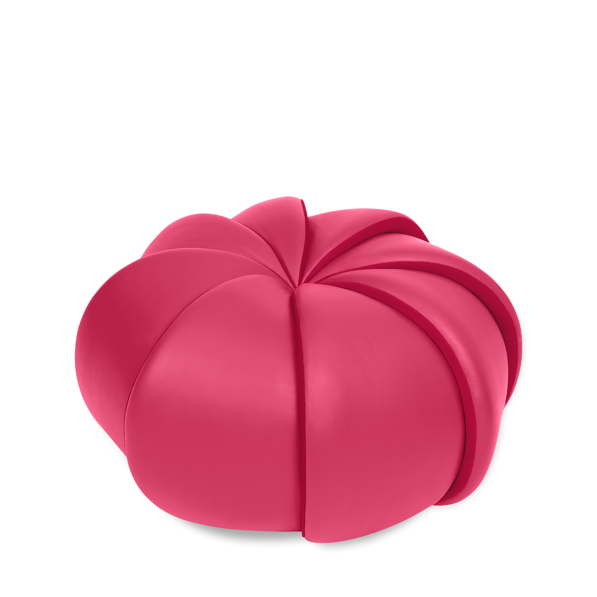 สีแดง Raspberry