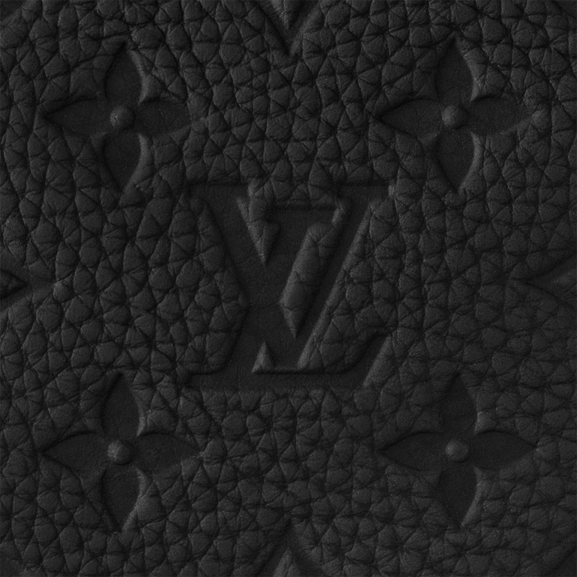 กระเป๋าสะพายหลังรุ่น Montsouris หนัง Taurillon ลาย Monogram  in ผู้ชาย