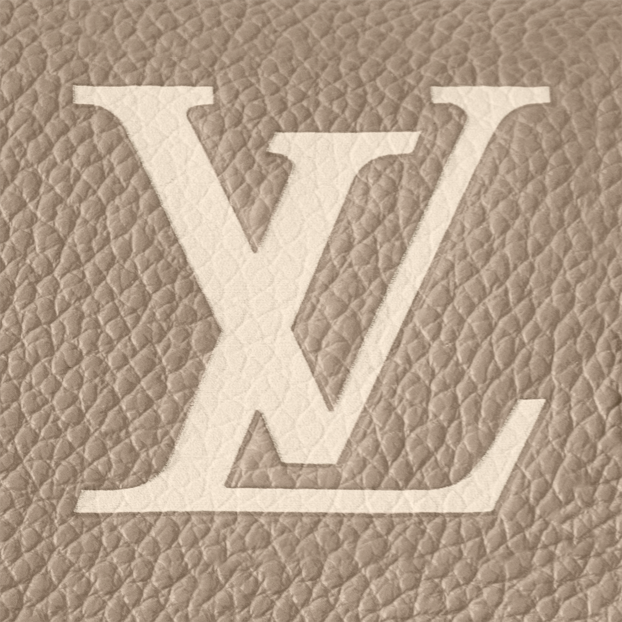 กระเป๋ารุ่น Nano Diane Bicolor Monogram Empreinte in ผู้หญิง