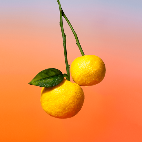 น้ำหอม On the Beach in น้ำหอมและความงาม's คอลเล็คชั่น น้ำหอมสำหรับผู้ชาย collections by Louis Vuitton (การย่อ/ขยายผลิตภัณฑ์)