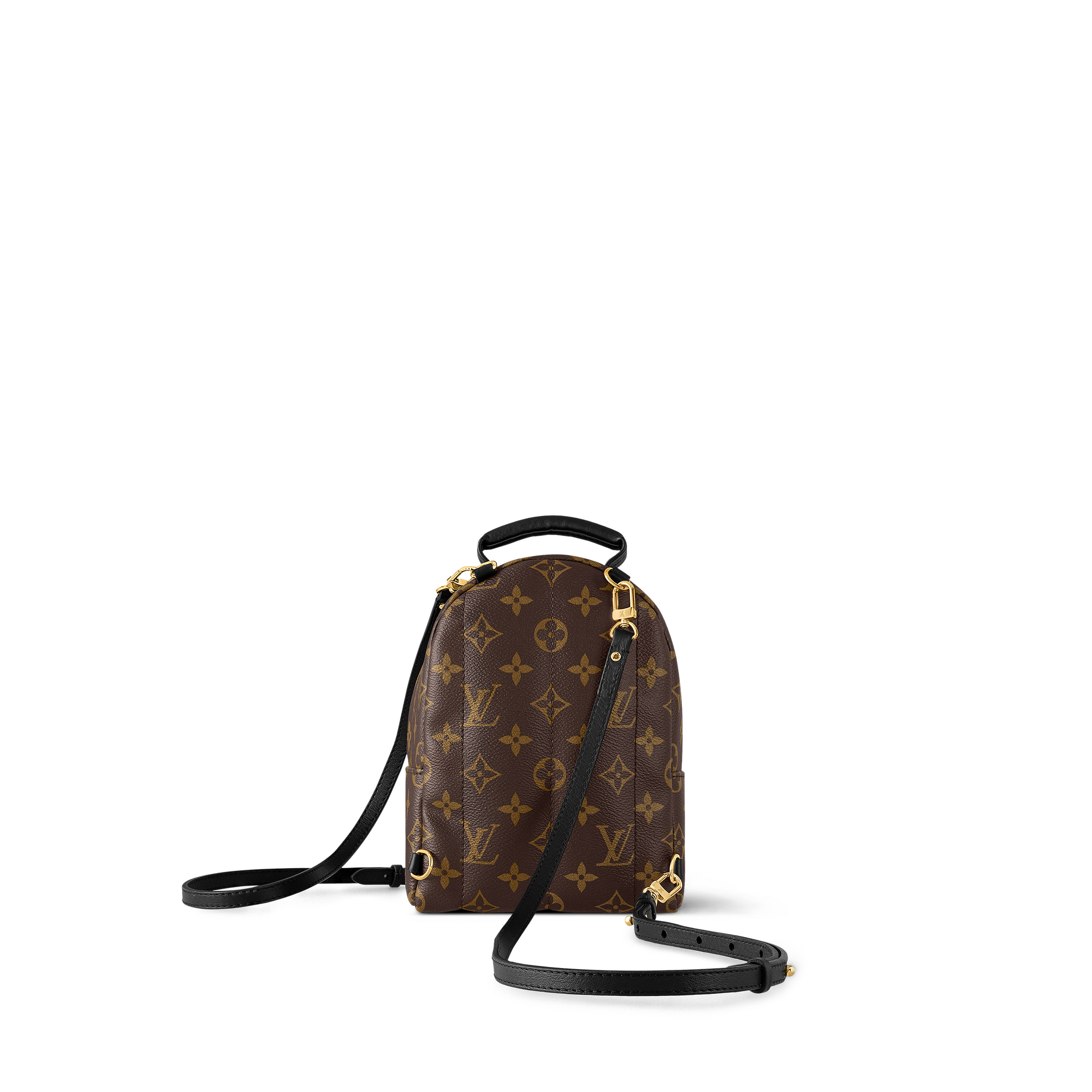 กระเป๋ารุ่น Palm Springs Mini Monogram in ผู้หญิง