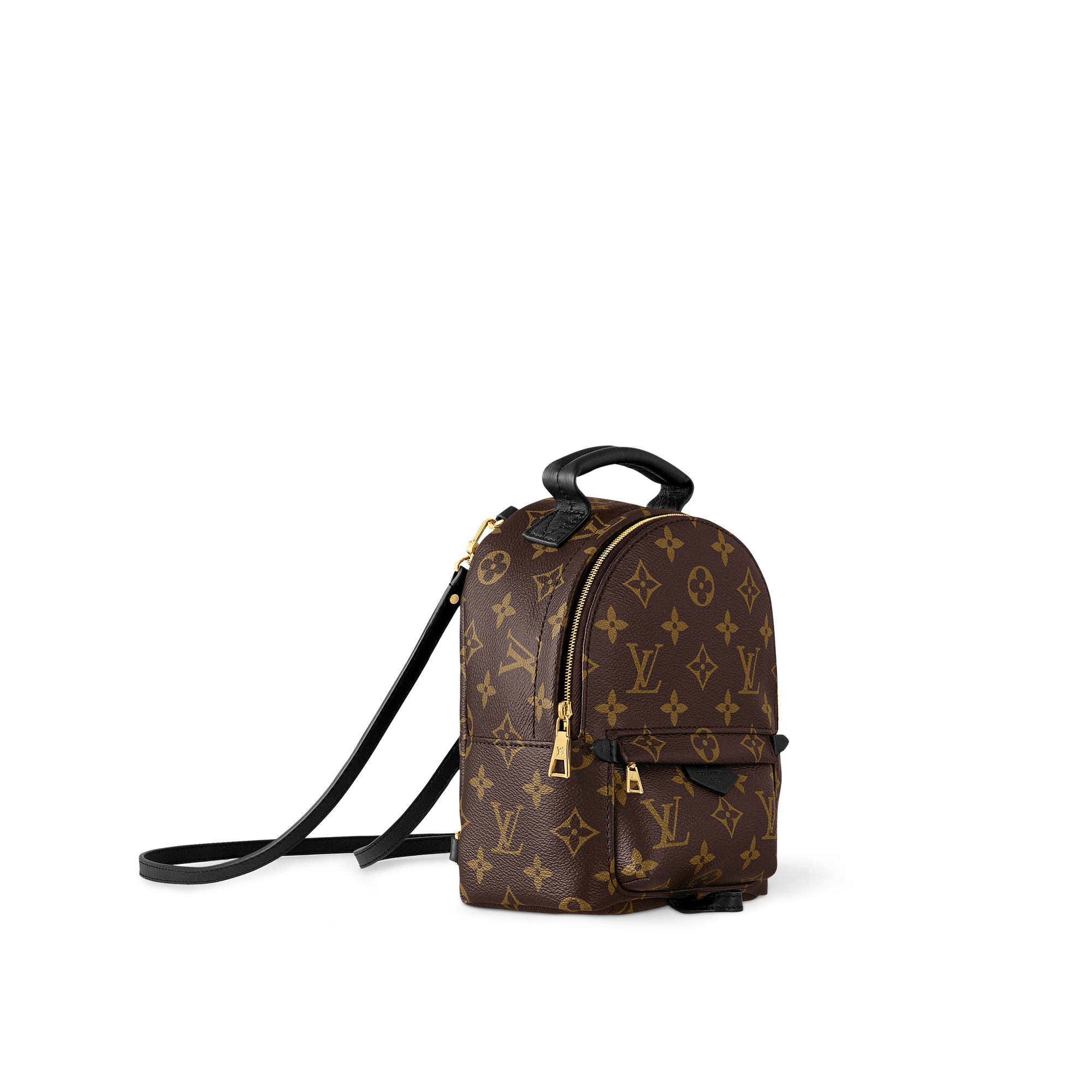 กระเป๋ารุ่น Palm Springs Mini Monogram in ผู้หญิง