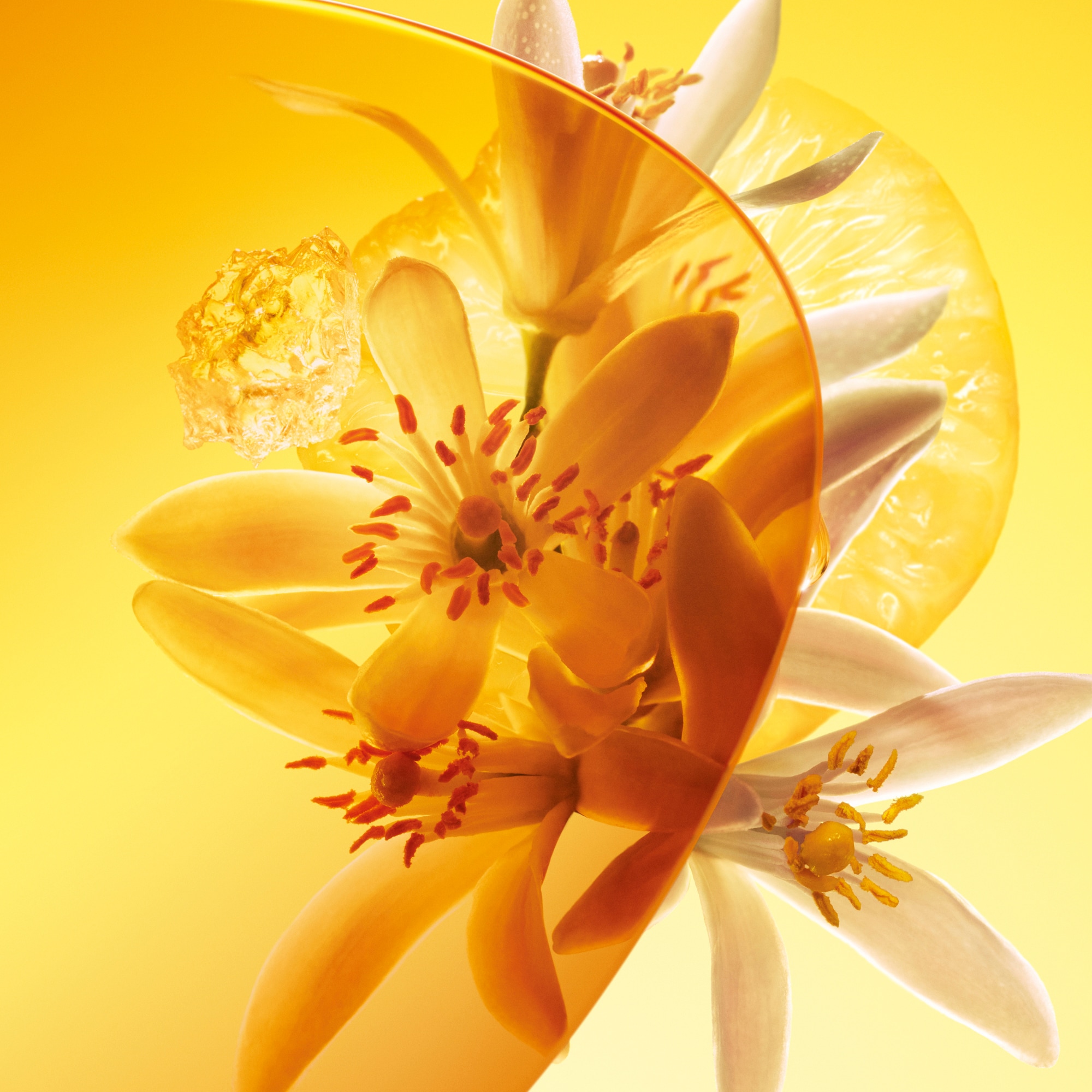 น้ำหอม Sun Song  in น้ำหอมและความงาม