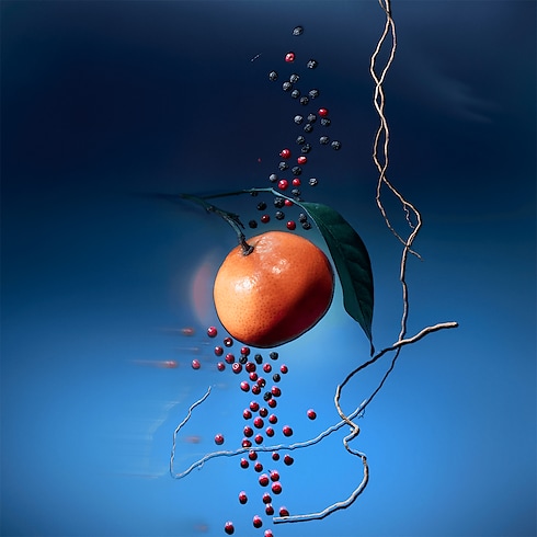 สเปรย์น้ำหอมสำหรับเดินทาง Météore in น้ำหอมและความงาม's คอลเล็คชั่น น้ำหอมสำหรับผู้ชาย collections by Louis Vuitton (การย่อ/ขยายผลิตภัณฑ์)