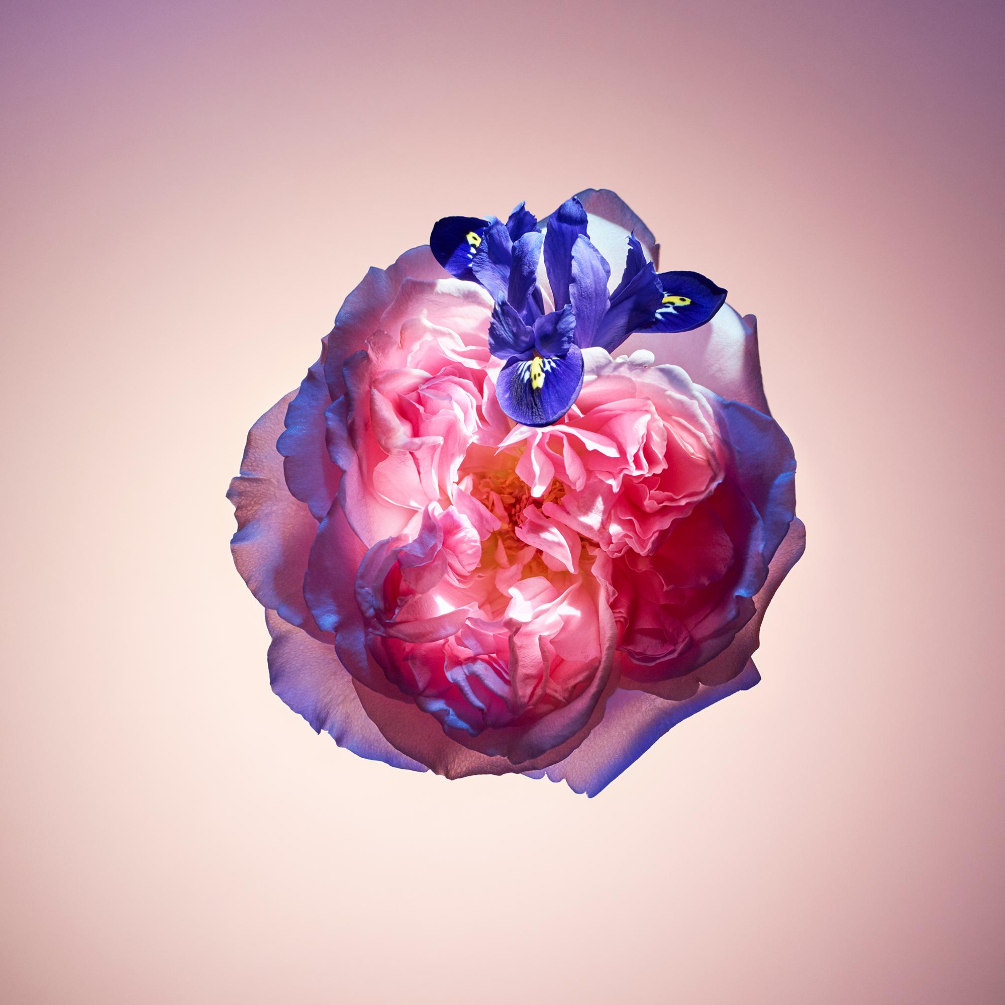 รีฟิลสเปรย์น้ำหอมสำหรับเดินทาง Rose des Vents  in น้ำหอม